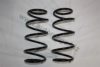 AUTOMEGA 3003120838 Coil Spring